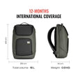 URBAN JUNGLE - Hive Workpack