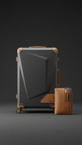 Polycarbonate Checked Suitcase With Modular Cubes